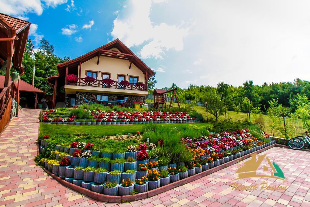Nemeth Resort Sovata Exteriér fotografie